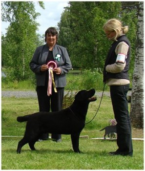 Margaret Brown at Finnish LRC Main Specialty 2010 with her BIS dog Follies Ivar (owned by Evelin Heinlo, Estonia)