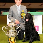 Crufts 2011. võitja Vbos The Kentuckian "Jet" (foto: Louise Tope)