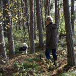 Tasemekatse okt.2011