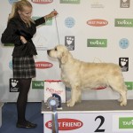 Soome Võitja 2011: Greenhill's Cooper